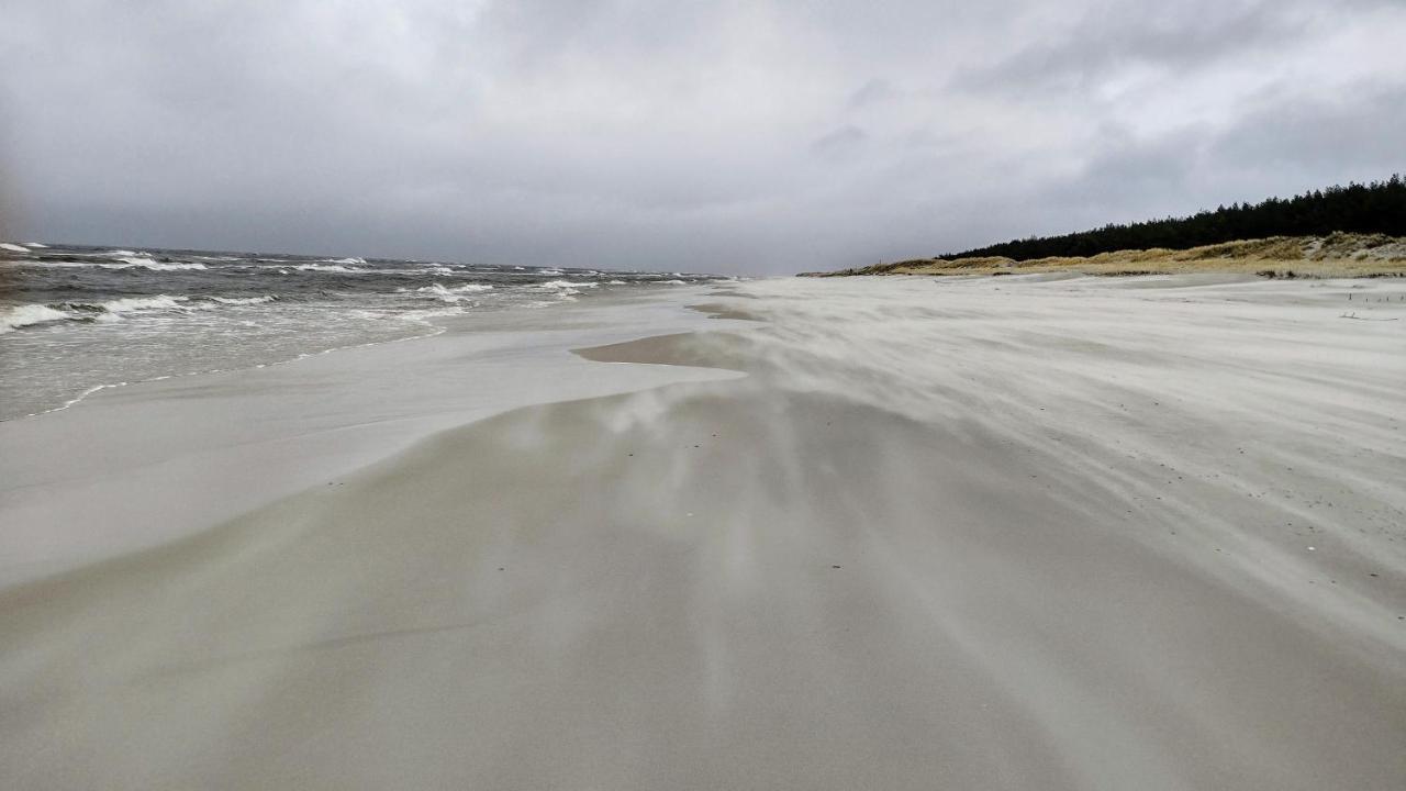 Marina Sasino - Komfortowe Domy Z Sauna I Kominkami Экстерьер фото
